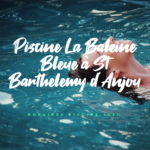 Piscine La Baleine Bleue à St Barthelemy d'Anjou